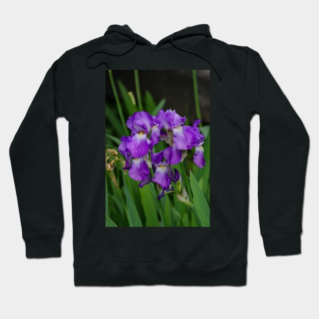 Flower with morning dew Hoodie by srosu